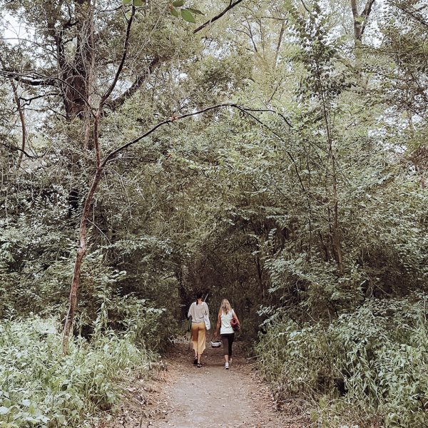 Passeggiata nel bosco e yoga