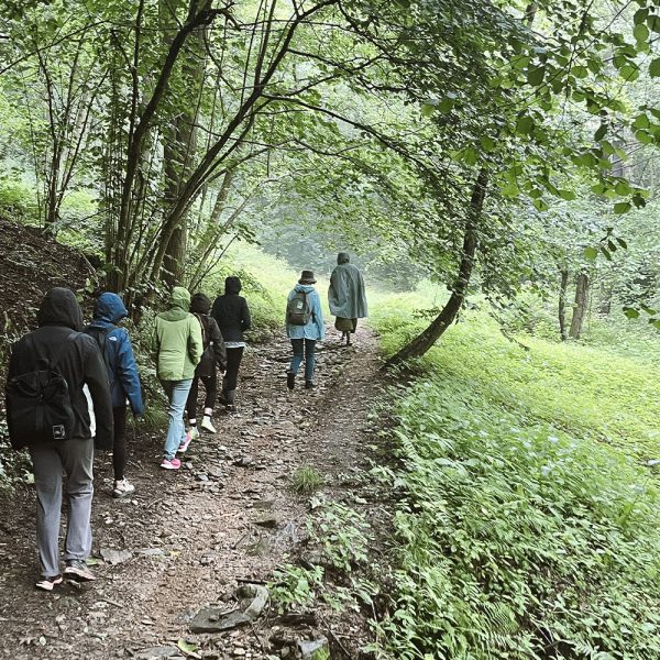 Camminata Meditativa e pratica di risveglio energetico